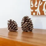 Valentina House Large In El *