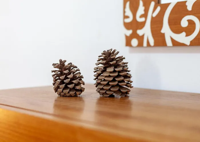 Valentina House Large In El *