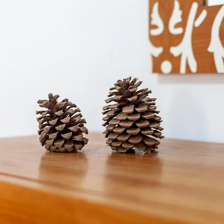 Valentina House Large In El *